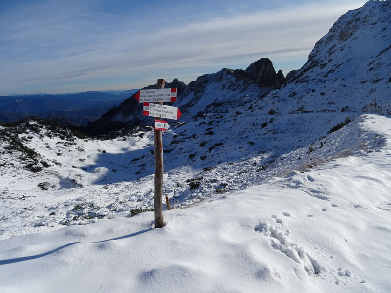 Cima Paln -Soglio dell'' Incudine.......Pasubio